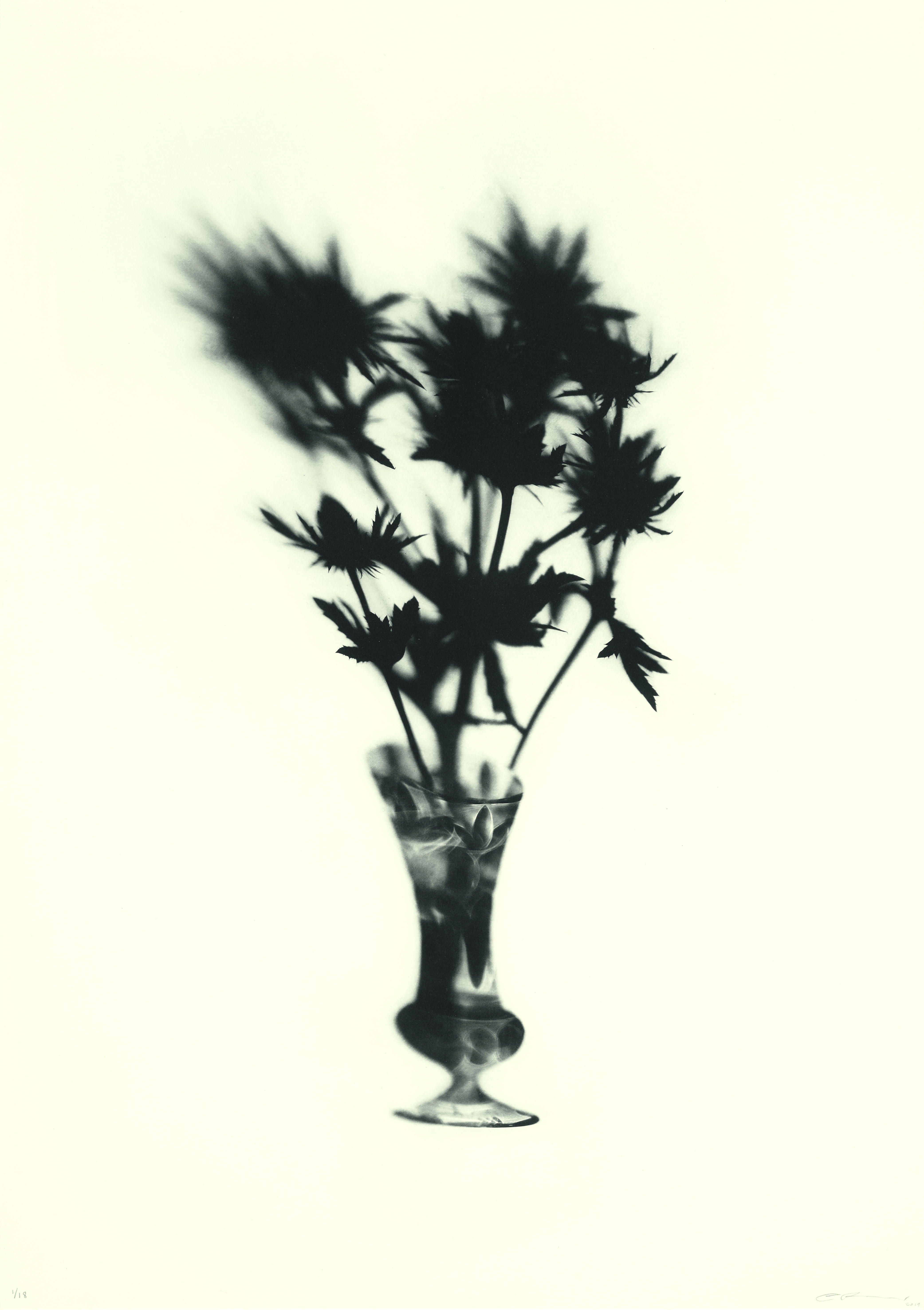 Cornelia Parker Cut Glass and Thistles