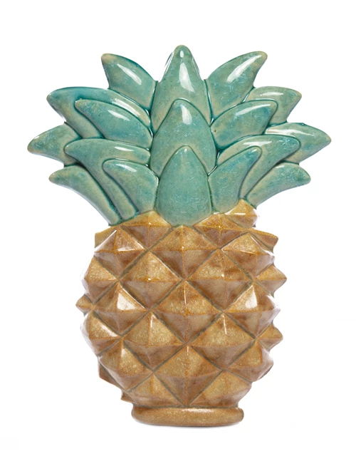 A Friendship Pineapple