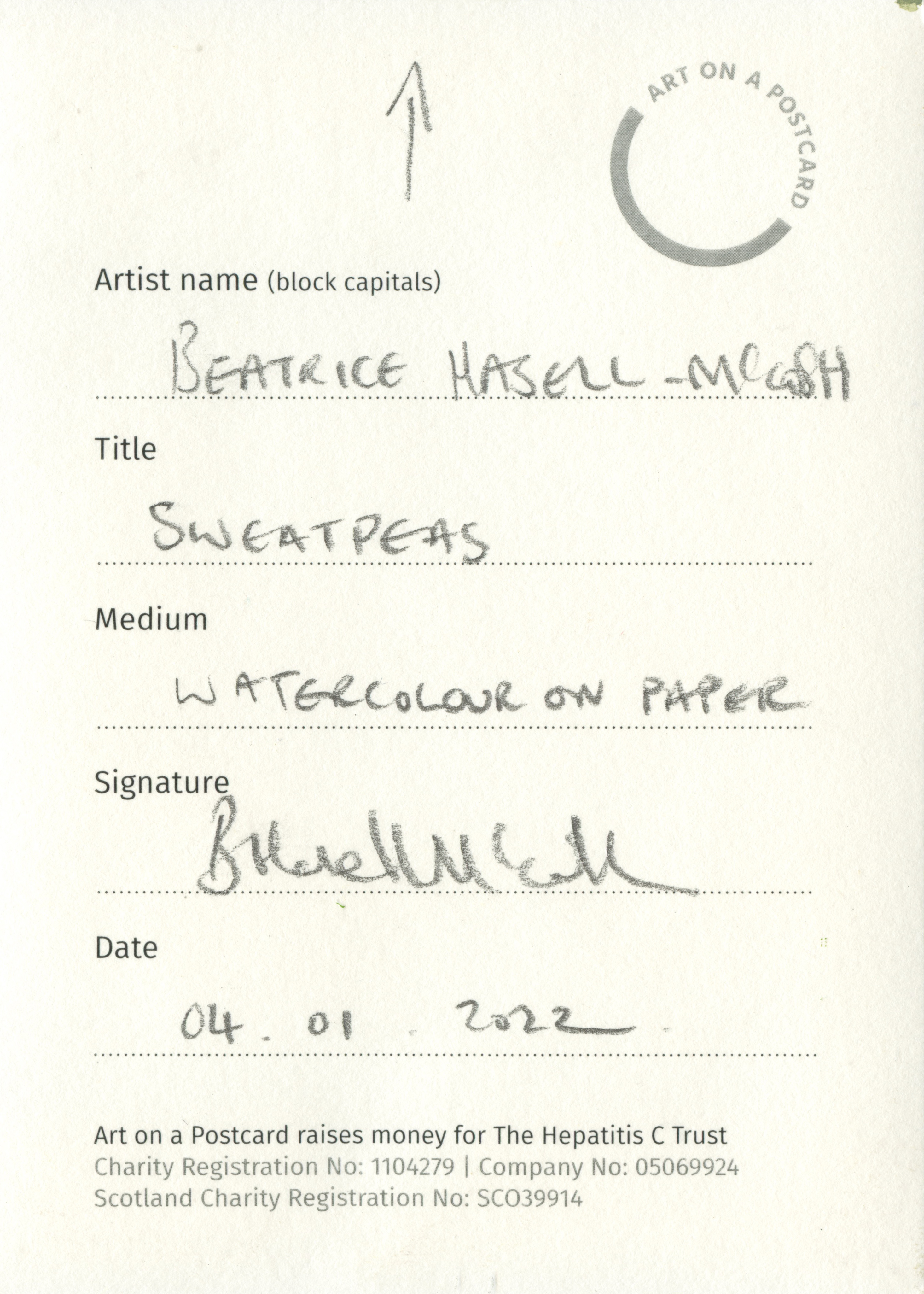 19. Beatrice Hasell-McCosh - Sweetpeas - BACK