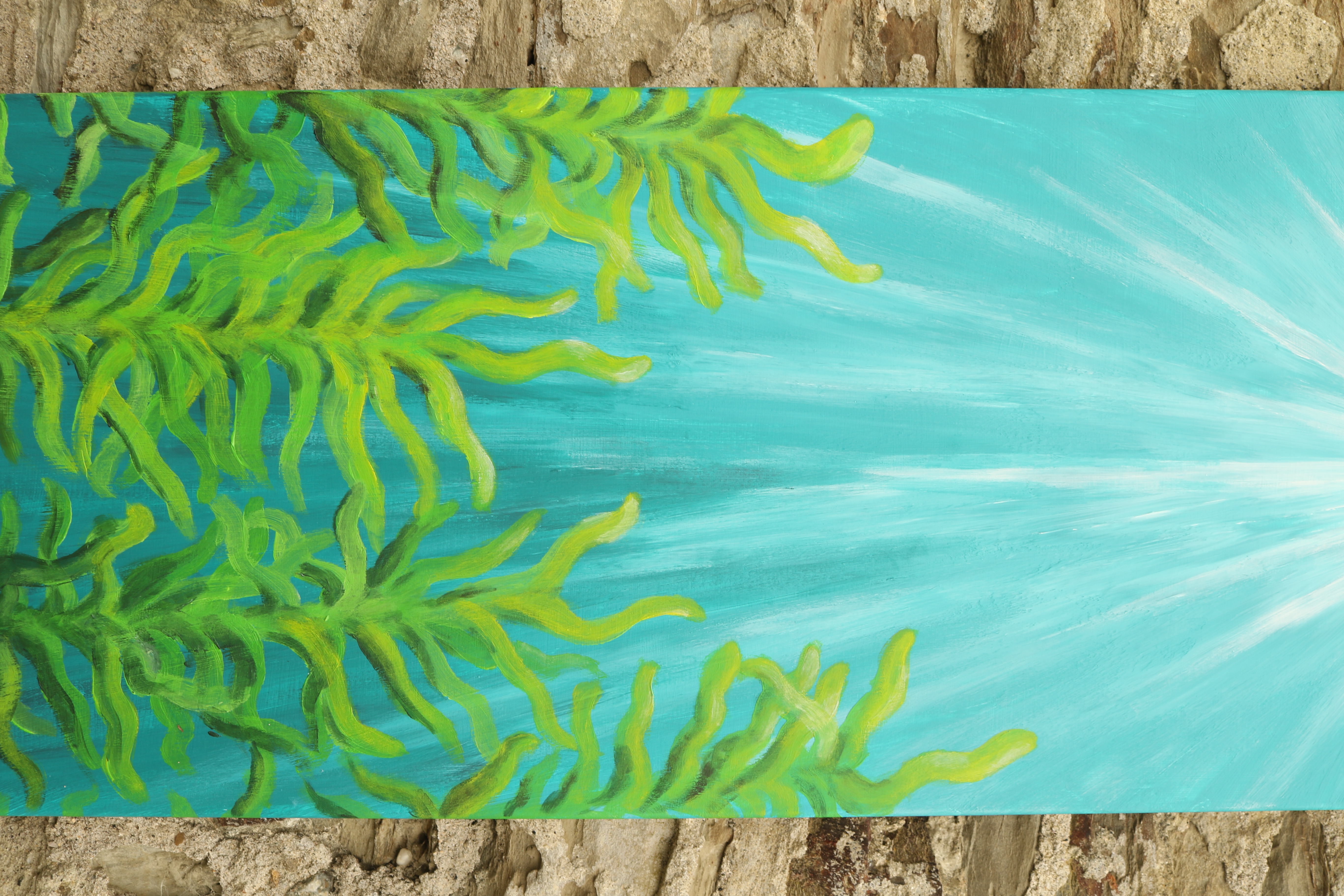 Kelp Forest - Detail