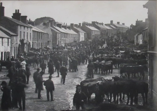 John H Thomas, Llannerch-y-medd Fair, Anglesey