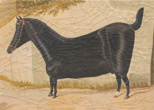 2. Lola Dupre - Sausage Horse
