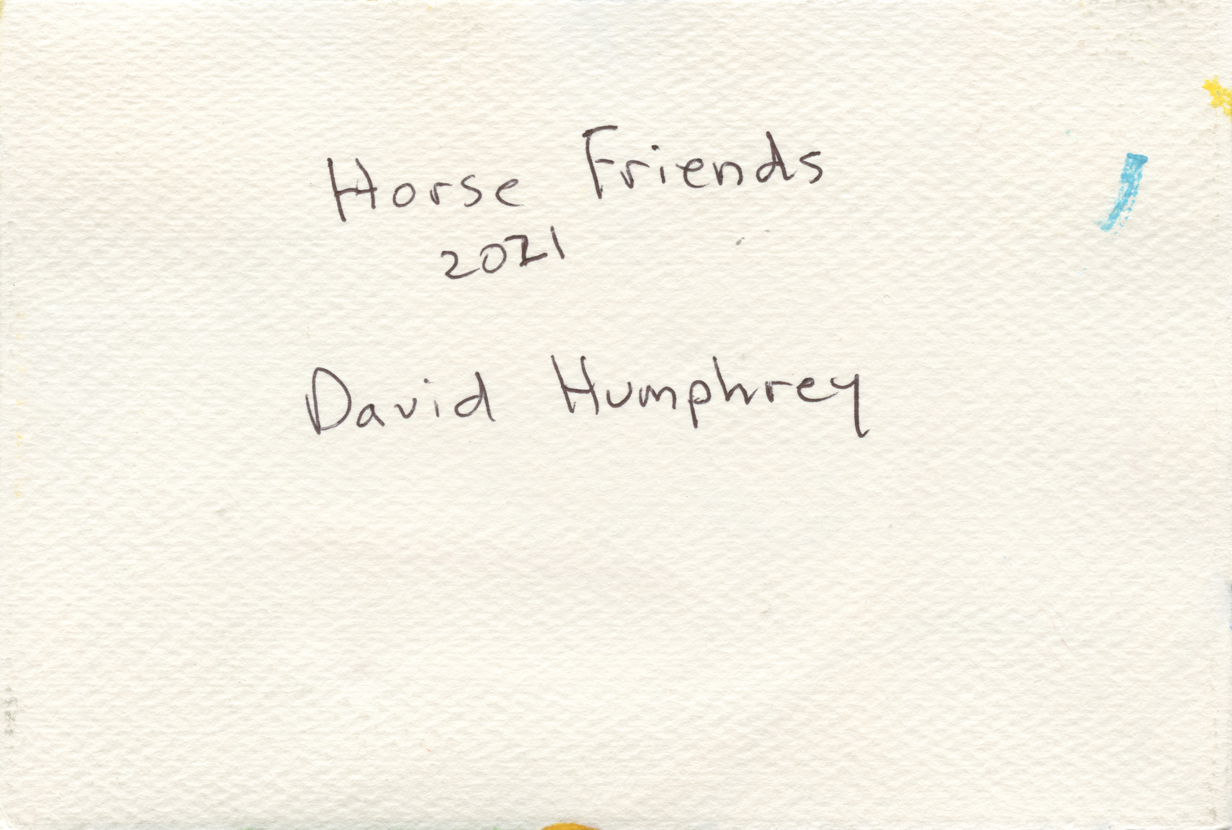 HORSE FRIENDS - back