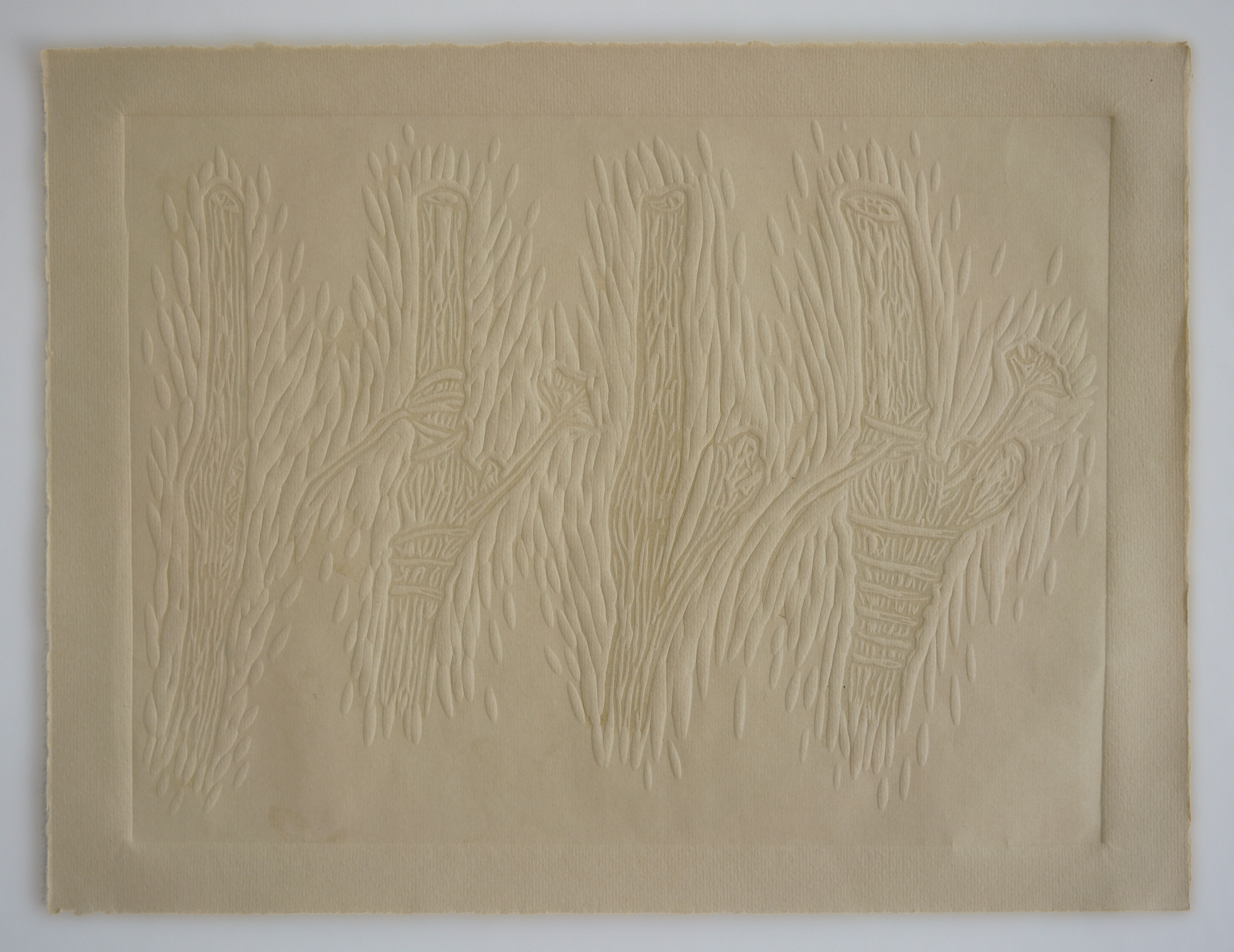 Hương Ngô, Studies for Ungrafting, 2023. Courtesy the Artist