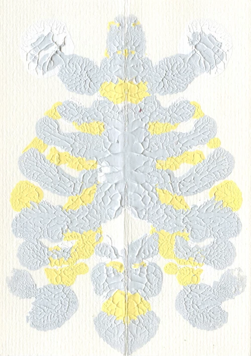 RIBCAGE - front