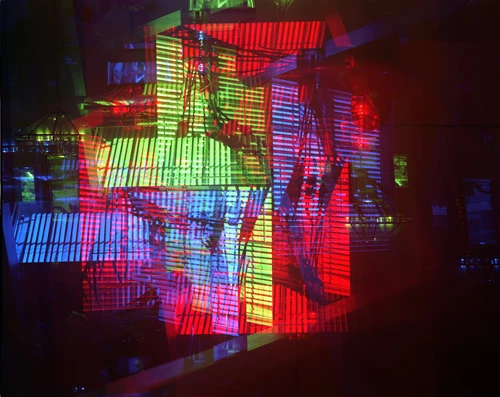 Mariah Robertson, Gladiola Window RGB #3, The Auction Collective.jpg