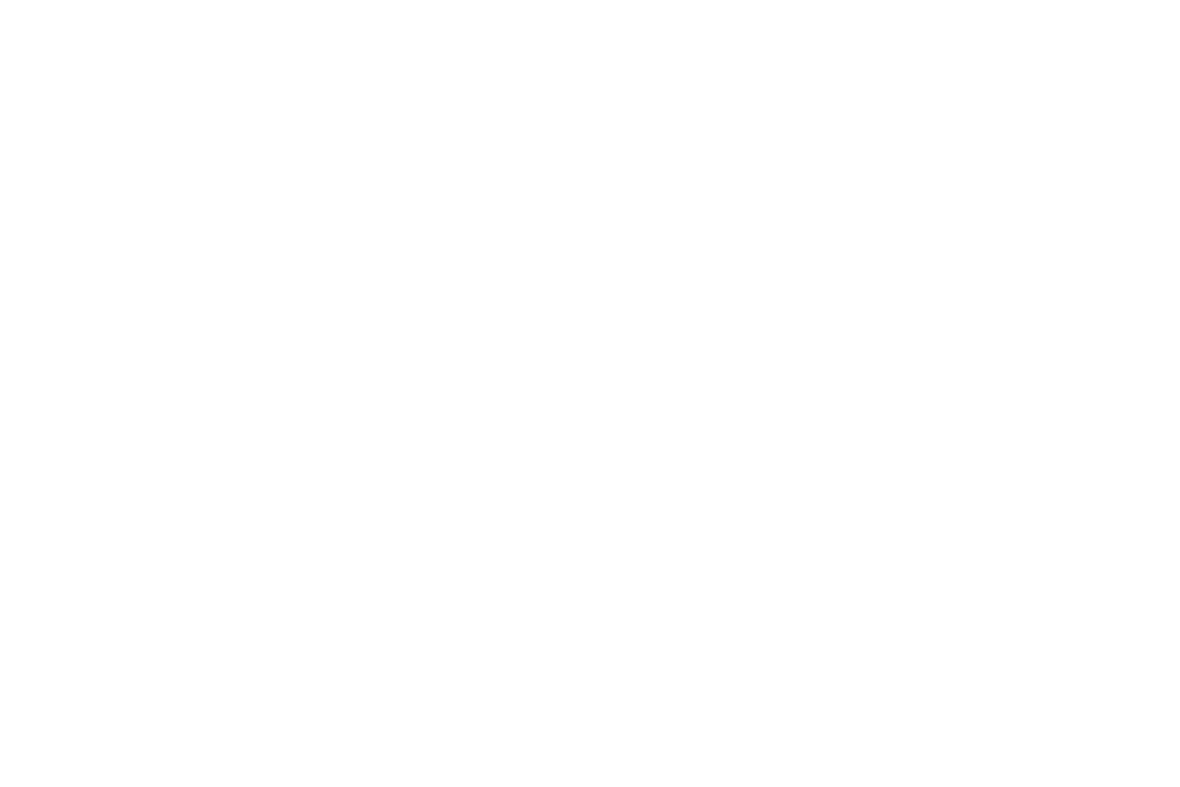 The Auction Collective