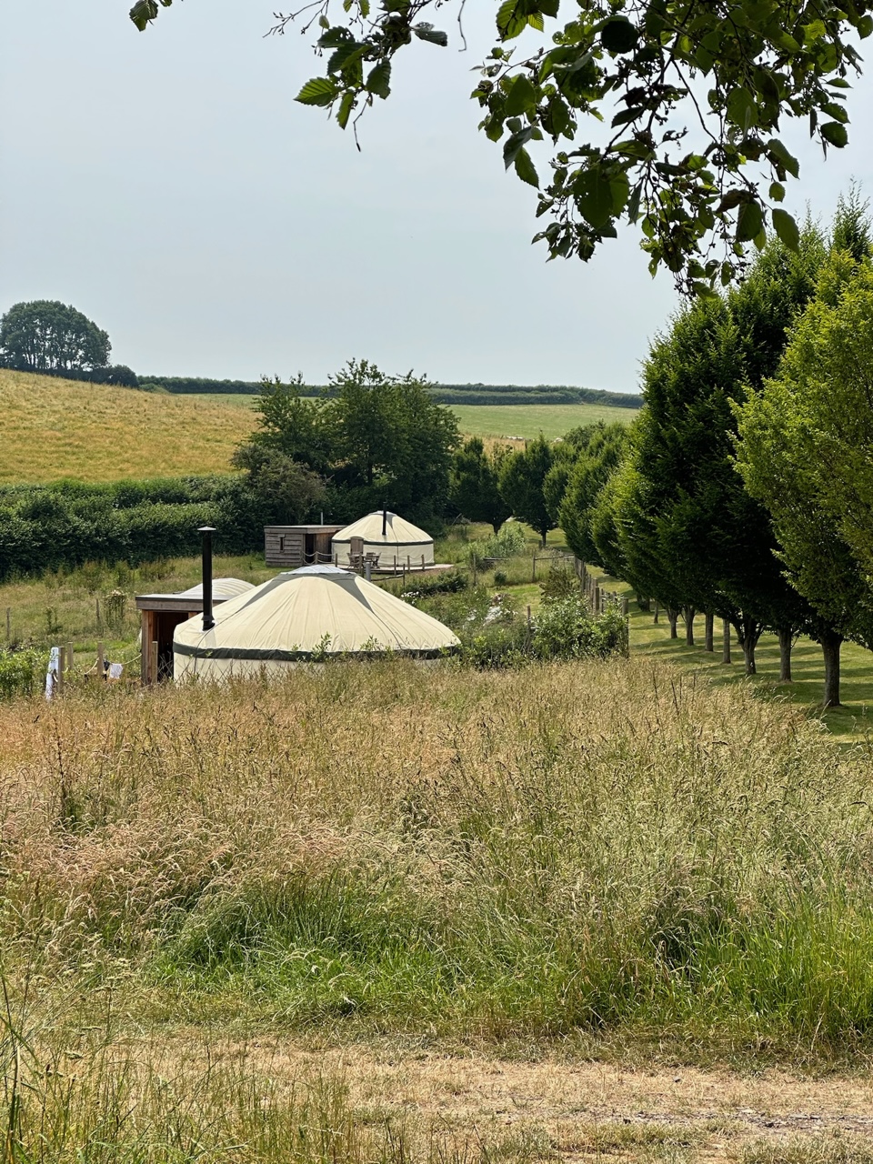 Walnut Farm