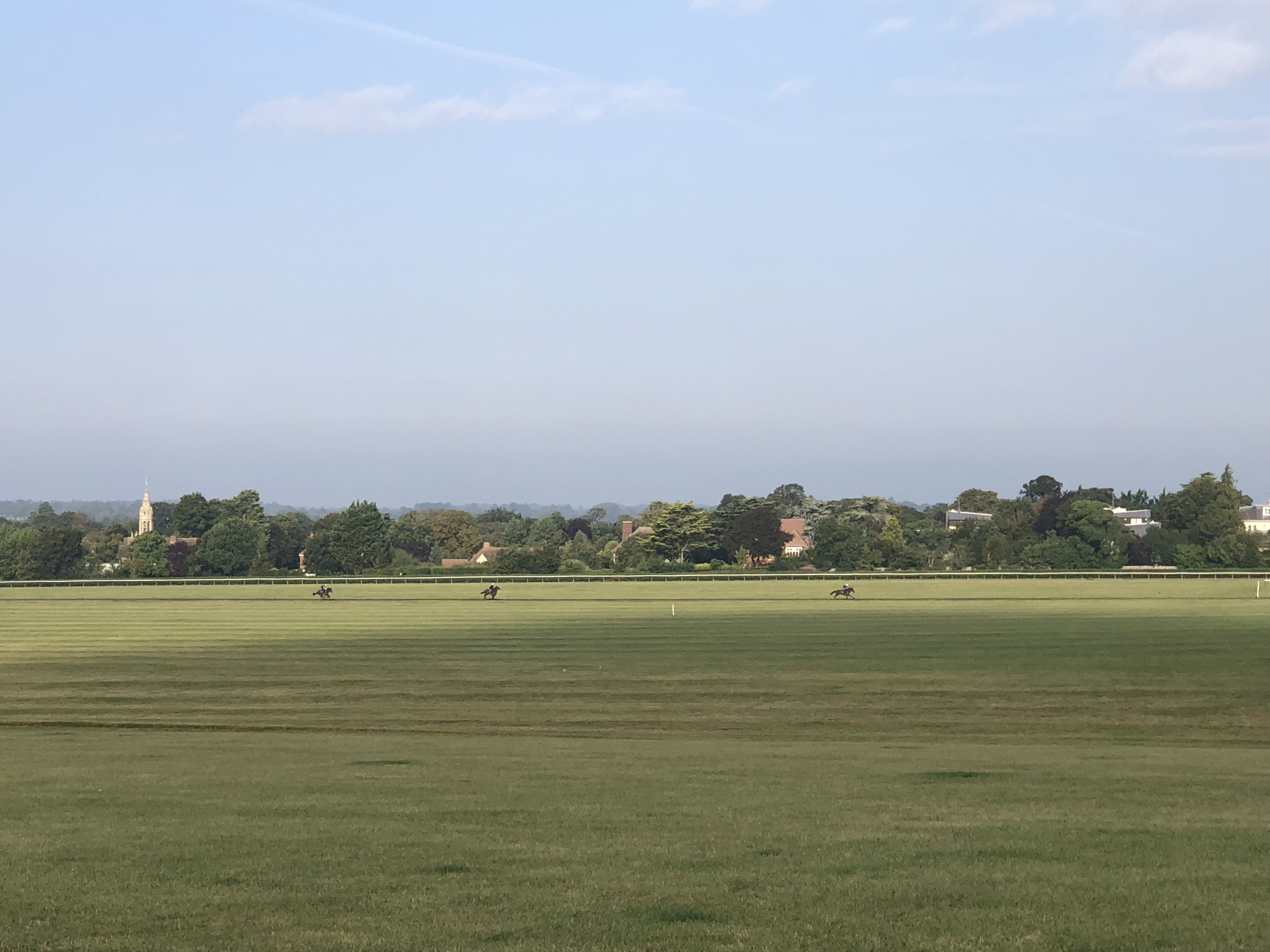 horse on gallop