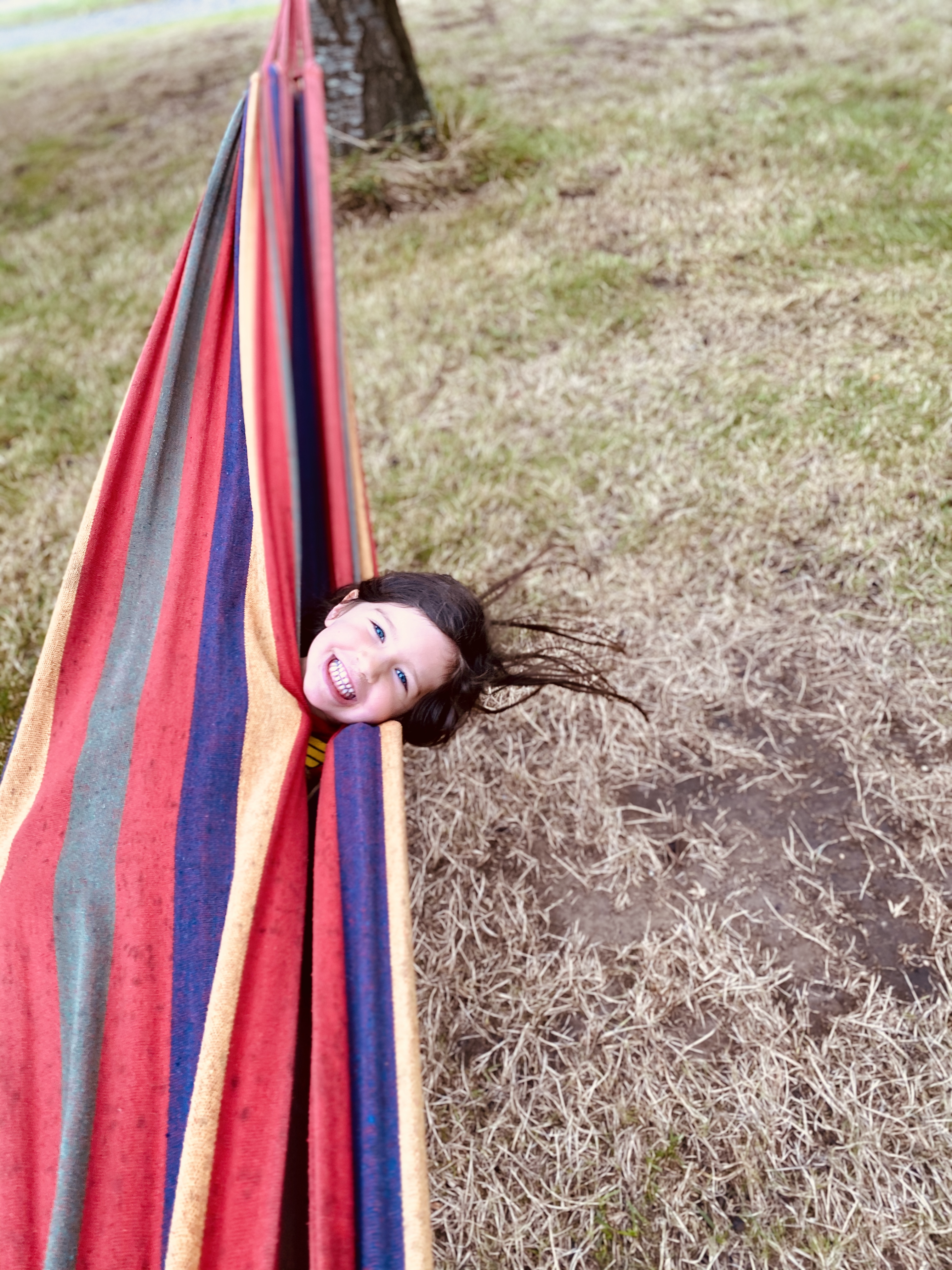 Hammock