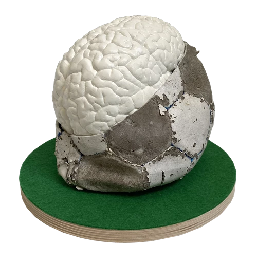 Football Brain, 2021