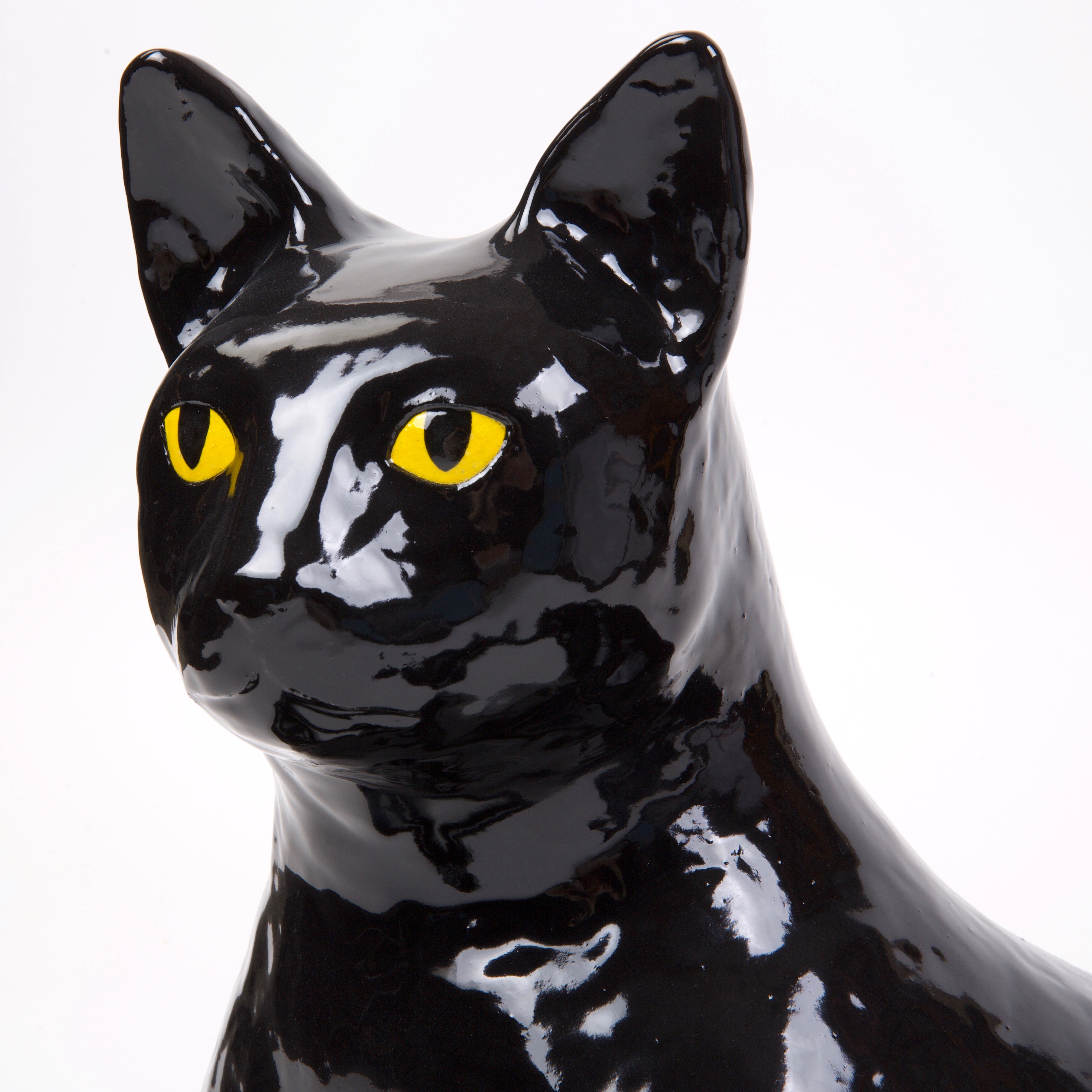 Black Cat, 2021 (Detail)