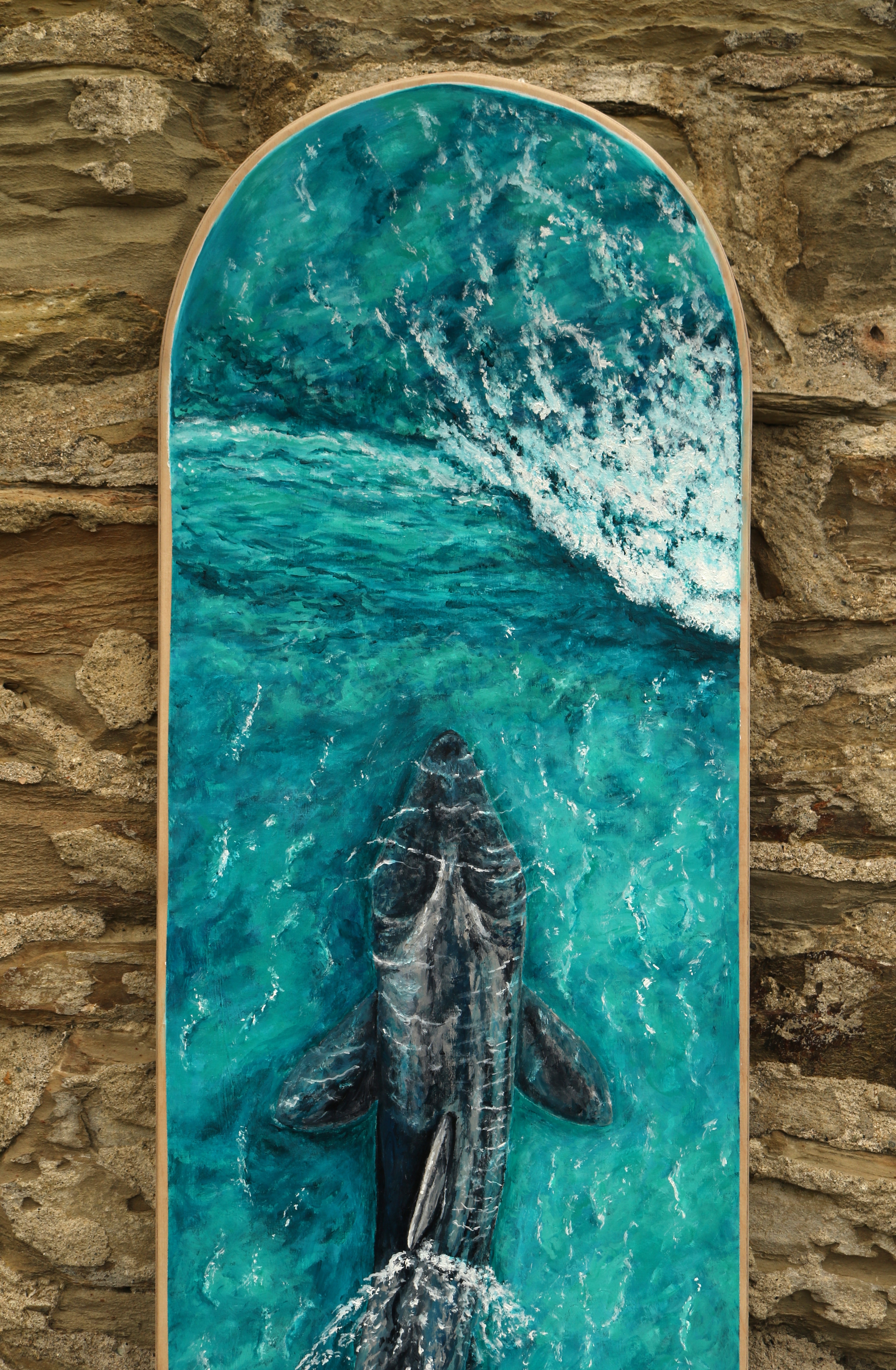 Sharing the Surf, Basking Sharks detail