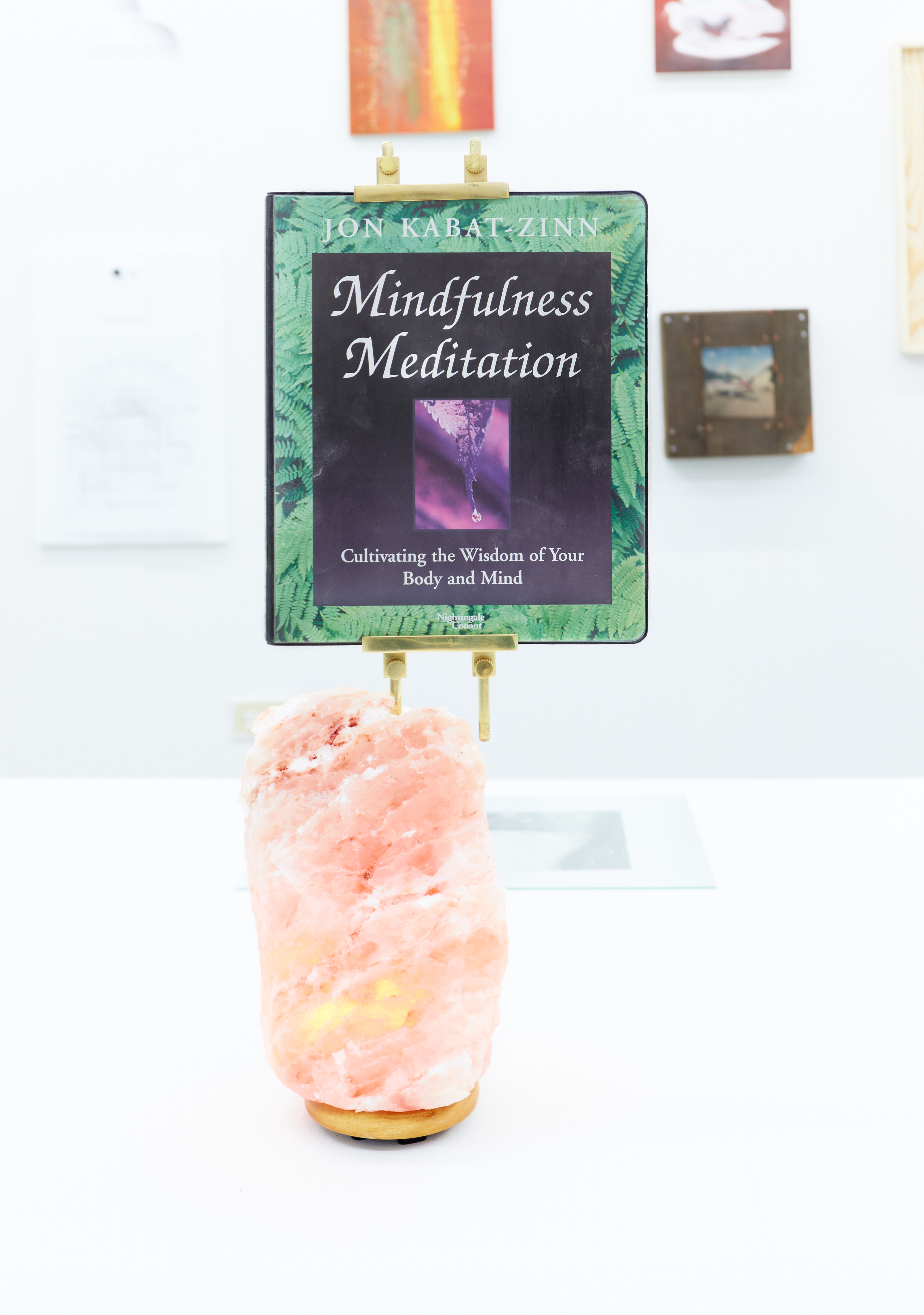 Mindfulness Meditation, 2024