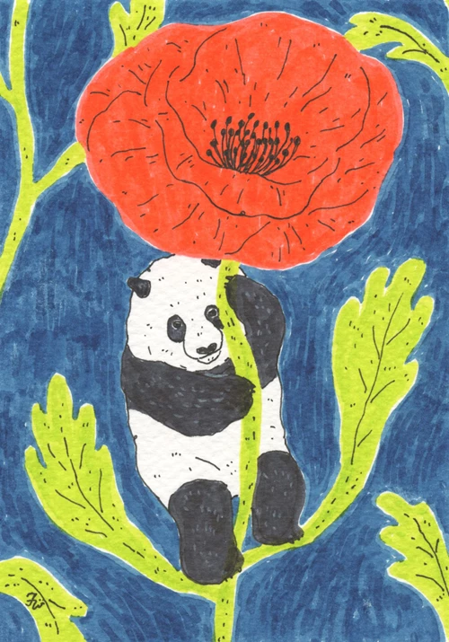 42. Florence Wong - Panda Plant