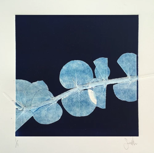 Sophie Coe, Eucalyptus Series Single Stem, The Auction Collective